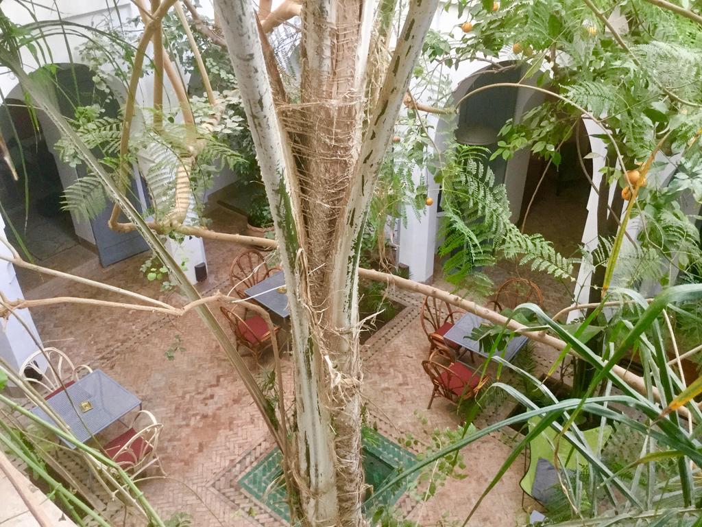Dar Binebine Hotel Marrakesz Zewnętrze zdjęcie