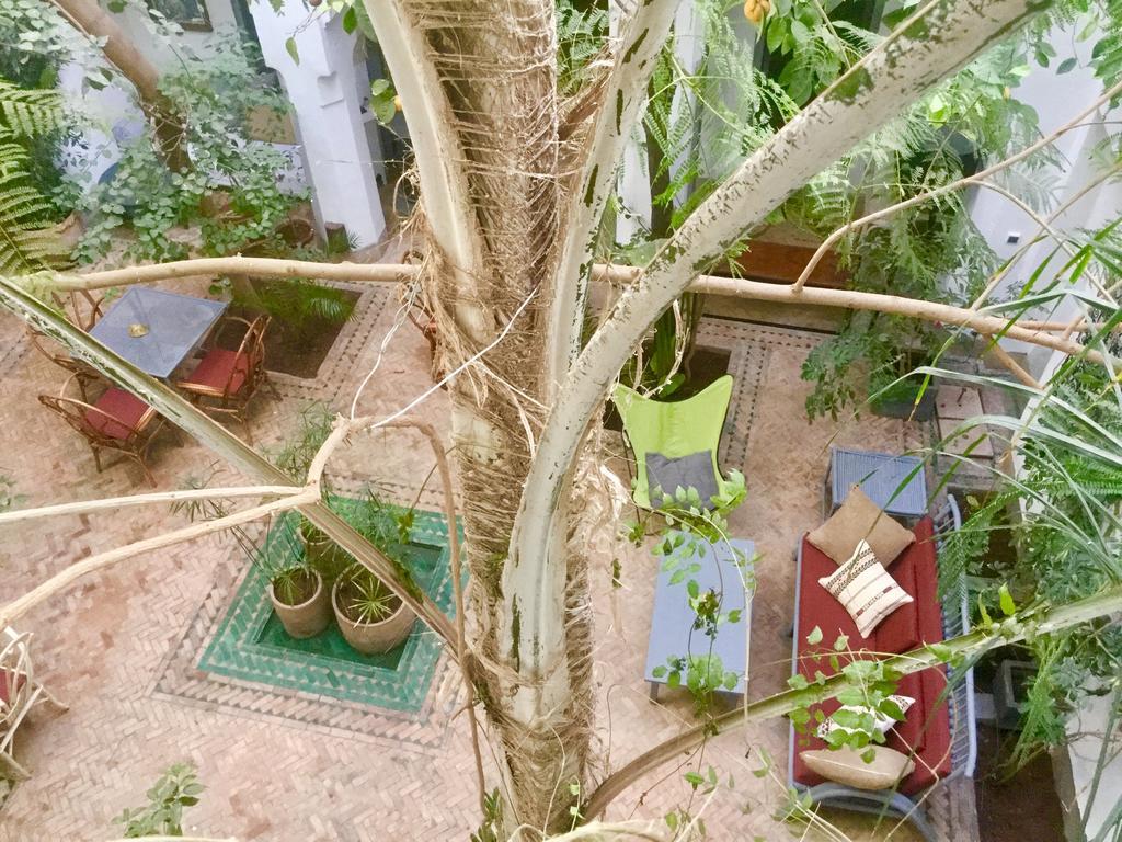 Dar Binebine Hotel Marrakesz Zewnętrze zdjęcie