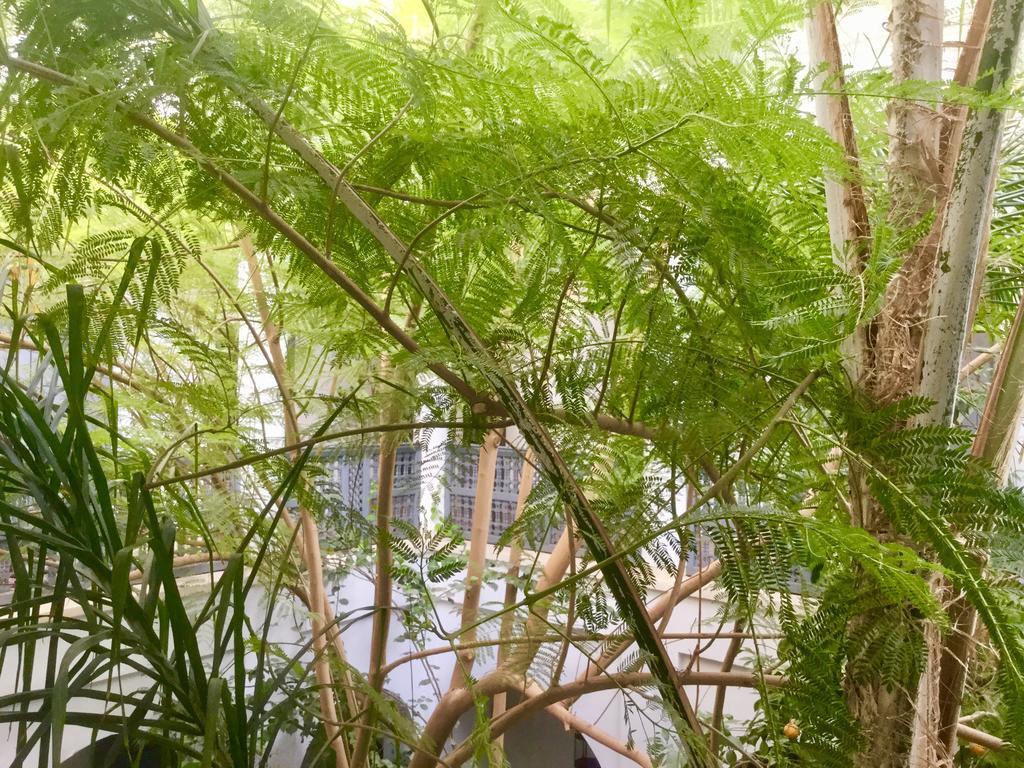 Dar Binebine Hotel Marrakesz Zewnętrze zdjęcie